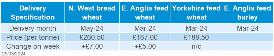 Table showing delivered cereal prices as of 25 03 2024